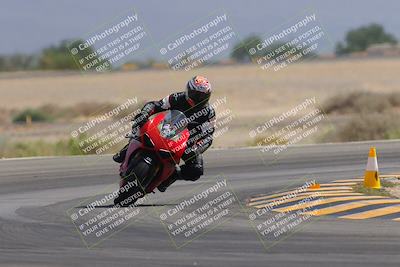 media/Sep-30-2023-SoCal Trackdays (Sat) [[636657bffb]]/Turn 15 (1120am)/